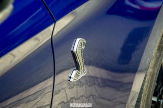 Drive_in_den_Ma_am_Werrepark-2022-250