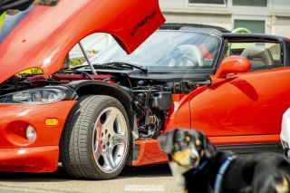 Drive_in_den_Ma_am_Werrepark-2022-254