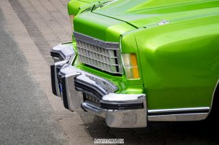 Drive_in_den_Ma_am_Werrepark-2022-282
