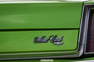 Drive_in_den_Ma_am_Werrepark-2022-287