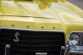 Drive_in_den_Ma_am_Werrepark-2022-306