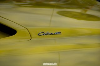 Drive_in_den_Ma_am_Werrepark-2022-308