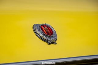 Drive_in_den_Ma_am_Werrepark-2022-313
