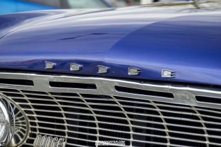 Drive_in_den_Ma_am_Werrepark-2022-358