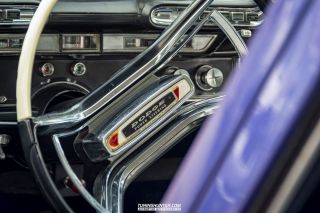 Drive_in_den_Ma_am_Werrepark-2022-381