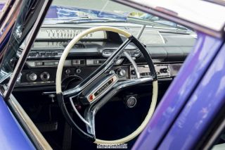 Drive_in_den_Ma_am_Werrepark-2022-382