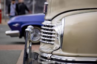 Drive_in_den_Ma_am_Werrepark-2022-393