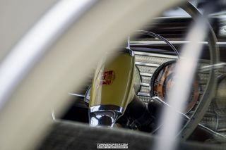 Drive_in_den_Ma_am_Werrepark-2022-408