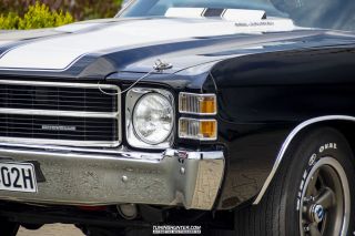 Drive_in_den_Ma_am_Werrepark-2022-420