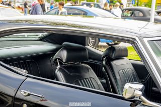 Drive_in_den_Ma_am_Werrepark-2022-433
