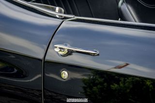 Drive_in_den_Ma_am_Werrepark-2022-434