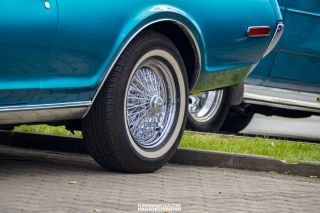 Drive_in_den_Ma_am_Werrepark-2022-439
