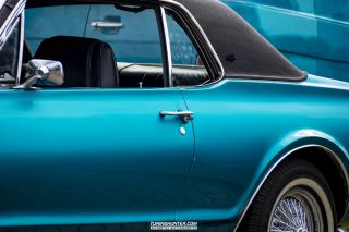 Drive_in_den_Ma_am_Werrepark-2022-440