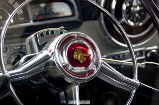 Drive_in_den_Ma_am_Werrepark-2022-477