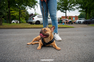 Flach_am_Bach_2024_0172