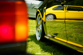 Flach_am_Bach_140625_190