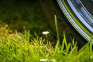 Flach_am_Bach_140625_210