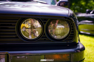 Flach_am_Bach_140625_227