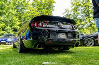 Flach_am_Bach_140625_249