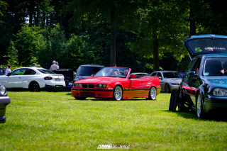 Flach_am_Bach_140625_279