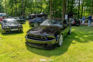 Flach_am_Bach_140625_308
