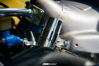 Flach_am_Bach_140625_368