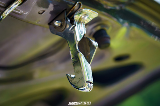 Flach_am_Bach_140625_370