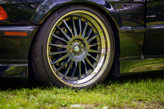 Flach_am_Bach_140625_528