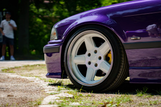 Flach_am_Bach_140625_560