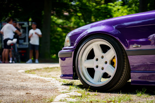 Flach_am_Bach_140625_561