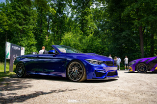 Flach_am_Bach_140625_568