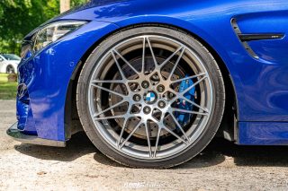 Flach_am_Bach_140625_587