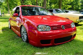 Flach_am_Bach_140625_726