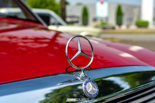 Flach_am_Bach_140625_818
