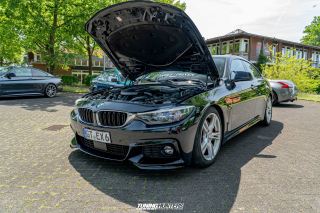 Flach_am_Bach_140625_827