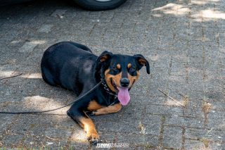 Flach_am_Bach_140625_861