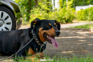 Flach_am_Bach_140625_862