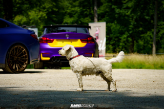 Flach_am_Bach_2025_140625_368