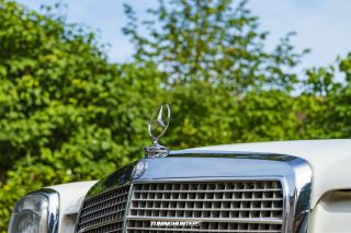 Graeflich_am_Grund_2023-206