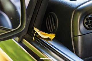 Graeflich_am_Grund_2023-546