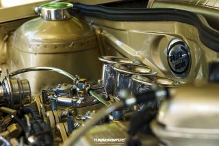 Graeflich_am_Grund_2023_0665