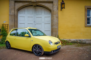Graeflich_am_Grund_2024_1190