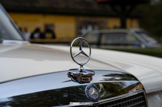 Graeflich_am_Grund_2024_1246