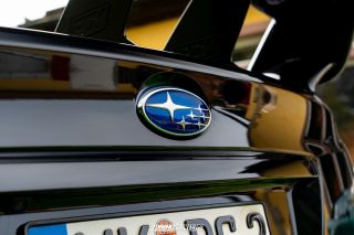 Graeflich_am_Grund_2024_1463