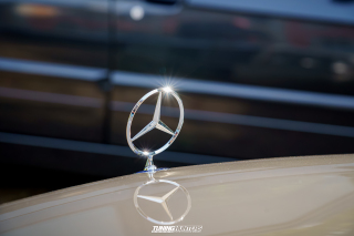 Graeflich_am_Grund__2024_175 Graeflich_am_Grund__2024_175