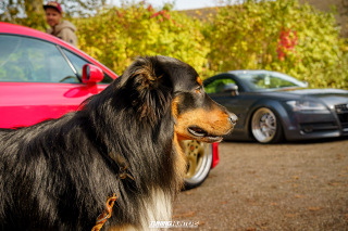 Graeflich_am_Grund__2024_218 Graeflich_am_Grund__2024_218