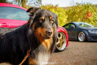 Graeflich_am_Grund__2024_219 Graeflich_am_Grund__2024_219