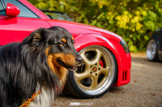 Graeflich_am_Grund__2024_220 Graeflich_am_Grund__2024_220