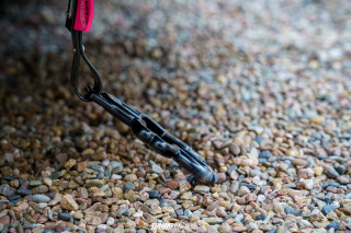 Graeflich_am_Grund__2024_271 Graeflich_am_Grund__2024_271