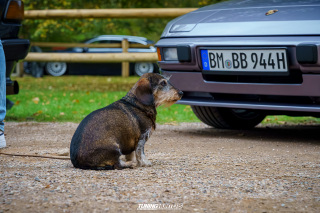 Graeflich_am_Grund__2024_510 Graeflich_am_Grund__2024_510